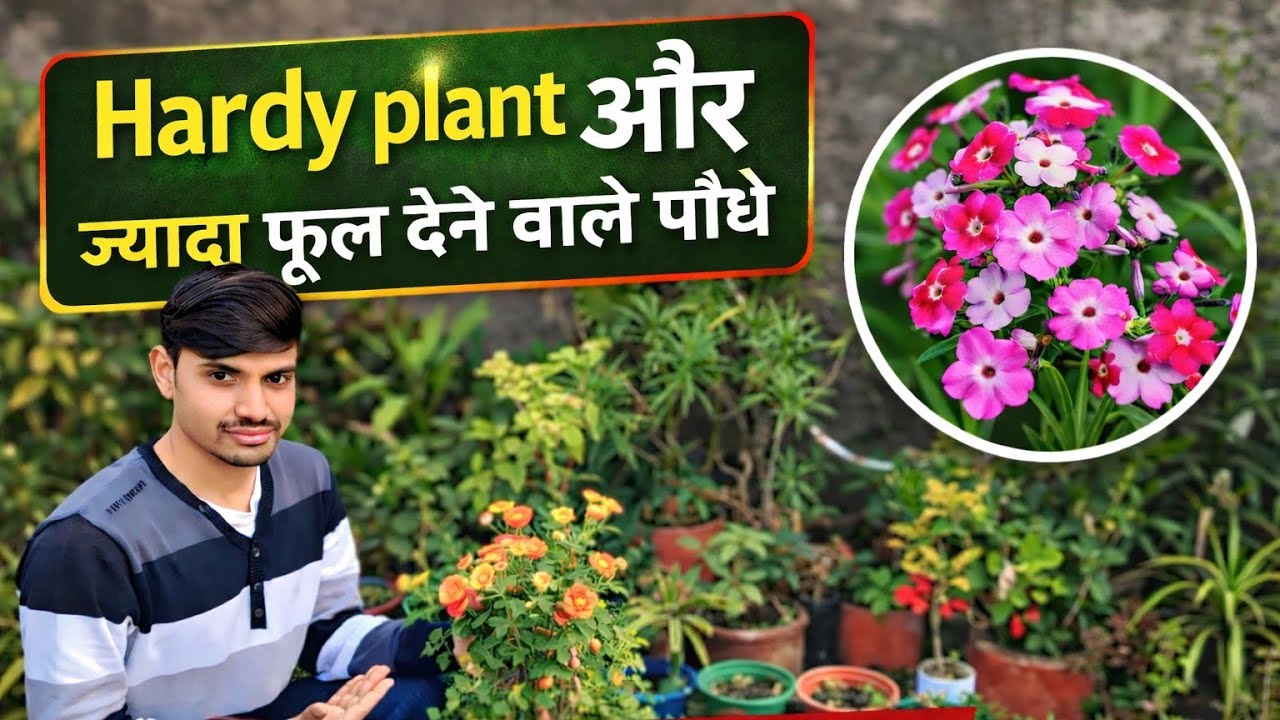 गर्मियों में ज्यादा फूल देने वाले हार्डी पौधे /जिनको  मार्च में कटिंग से उगा सकते हैं 🪴🌿☘️