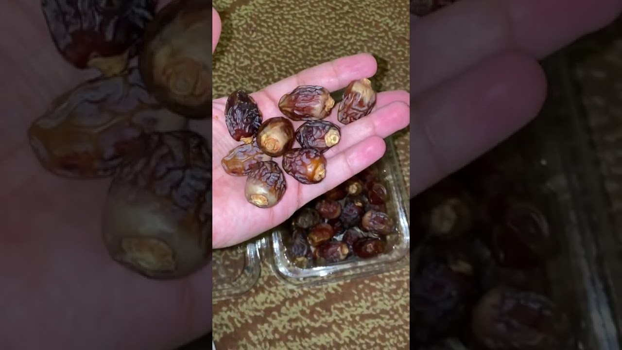 صنف الرزيز من اجود الاصناف وحجمه دلع