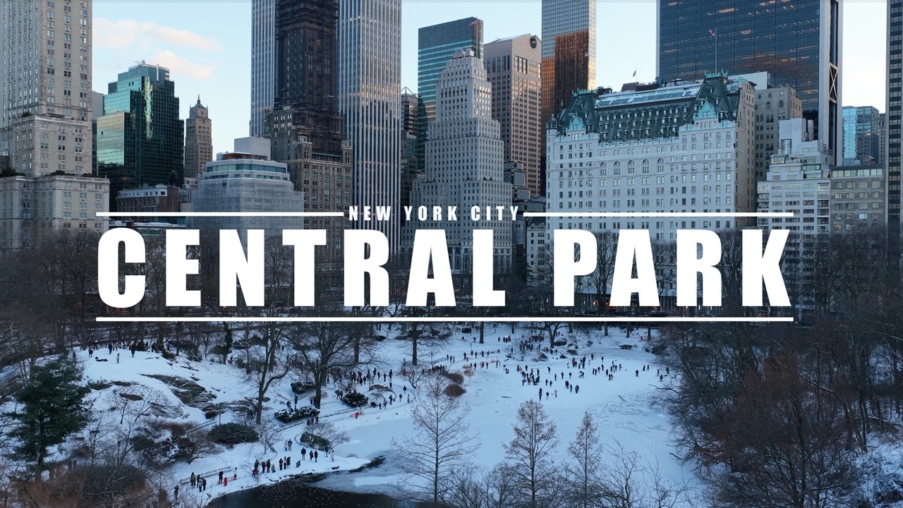 NYC Winter - Central Park