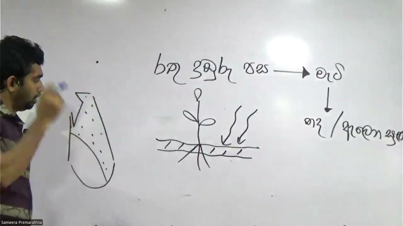 පැය කාලෙ පන්තිය - Reddish Brown Earth Soil | Sameera Premarathna | Agri science