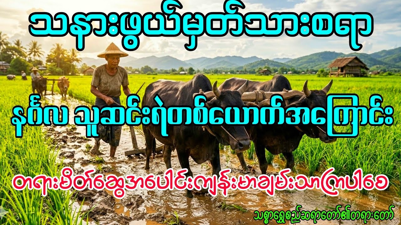 သနားစရာသူဆင်းရဲတစ်ယောက်အကြောင်း(သစ္စာရွှေစည်ဆရာတော်)#buddha #တရားတော်များ #ပရိတ်ကြီး #ပရိတ်တရားတော် 