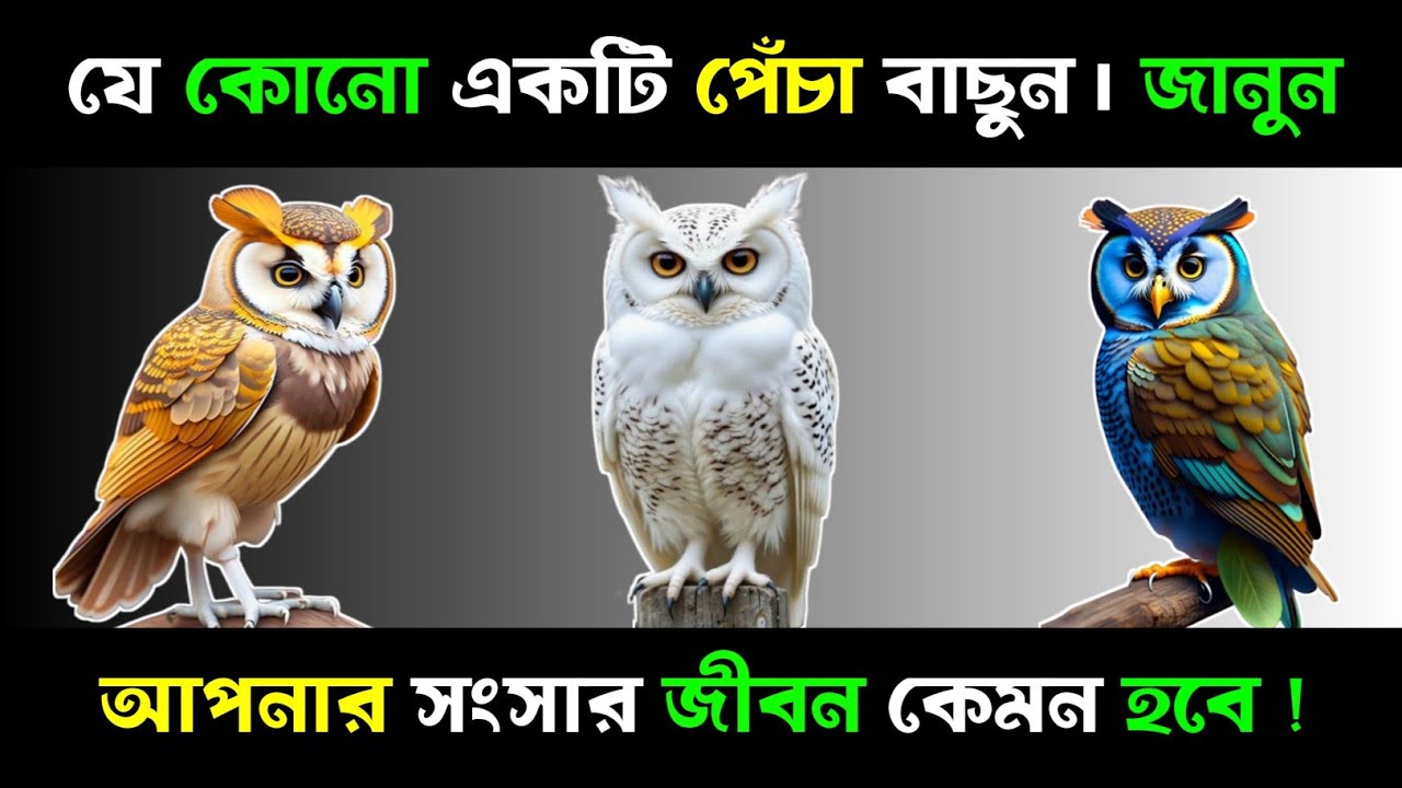 আপনার সংসার জীবন কেমন হবে?| Relationship Psychology | stoic mindset bangla | Brain Close Personality