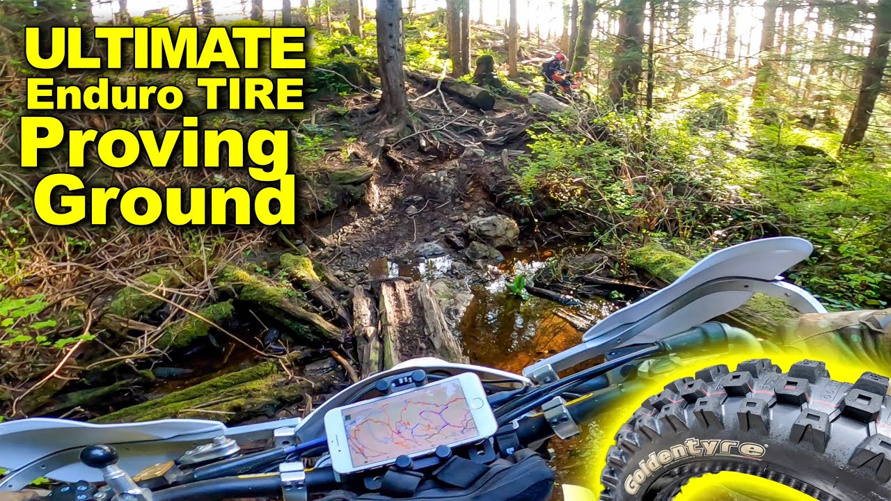 Super Gnarly New Trails [& testing the Goldentyre GT333NX]