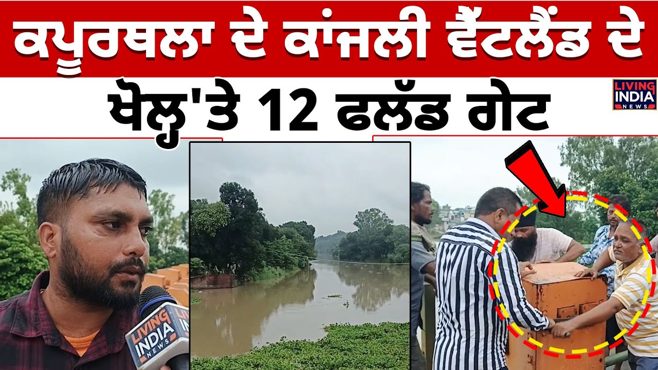 Kapurthala ਦੇ ਕਾਂਜਲੀ ਵੈੱਟਲੈਂਡ ਦੇ ਖੋਲ੍ਹ'ਤੇ 12 Flood Gate | Heavy Rain | Punjab Floods | Ground Report