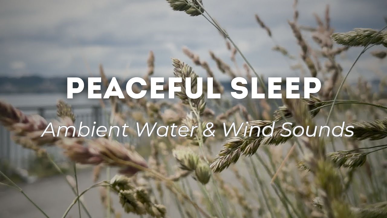PEACEFUL SLEEP | Water & Breeze Ambient Sounds to Fall Asleep to | Wind White Noise #sleepsounds