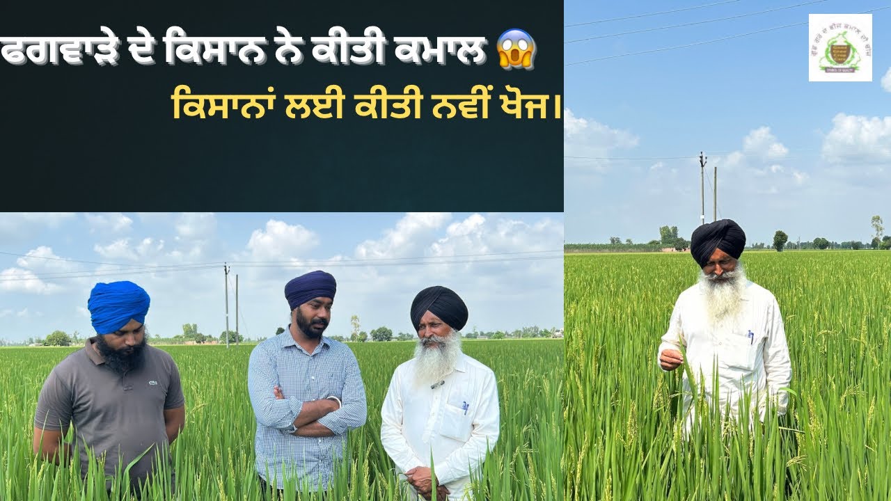 ASR Technique of Rice cultivation 