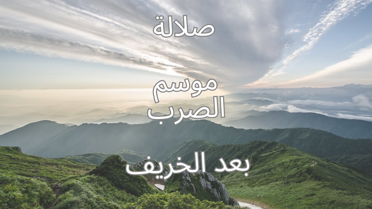 موسم الصرب في صلاله 2025|المنظر الأجمل في الخريف|مشاهد لا تُفوت