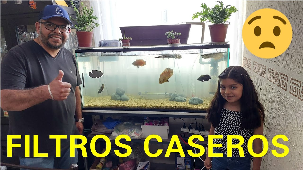UNA FAMILIA MUESTRA TODOS SUS ACUARIOS CON FILTROS CASEROS