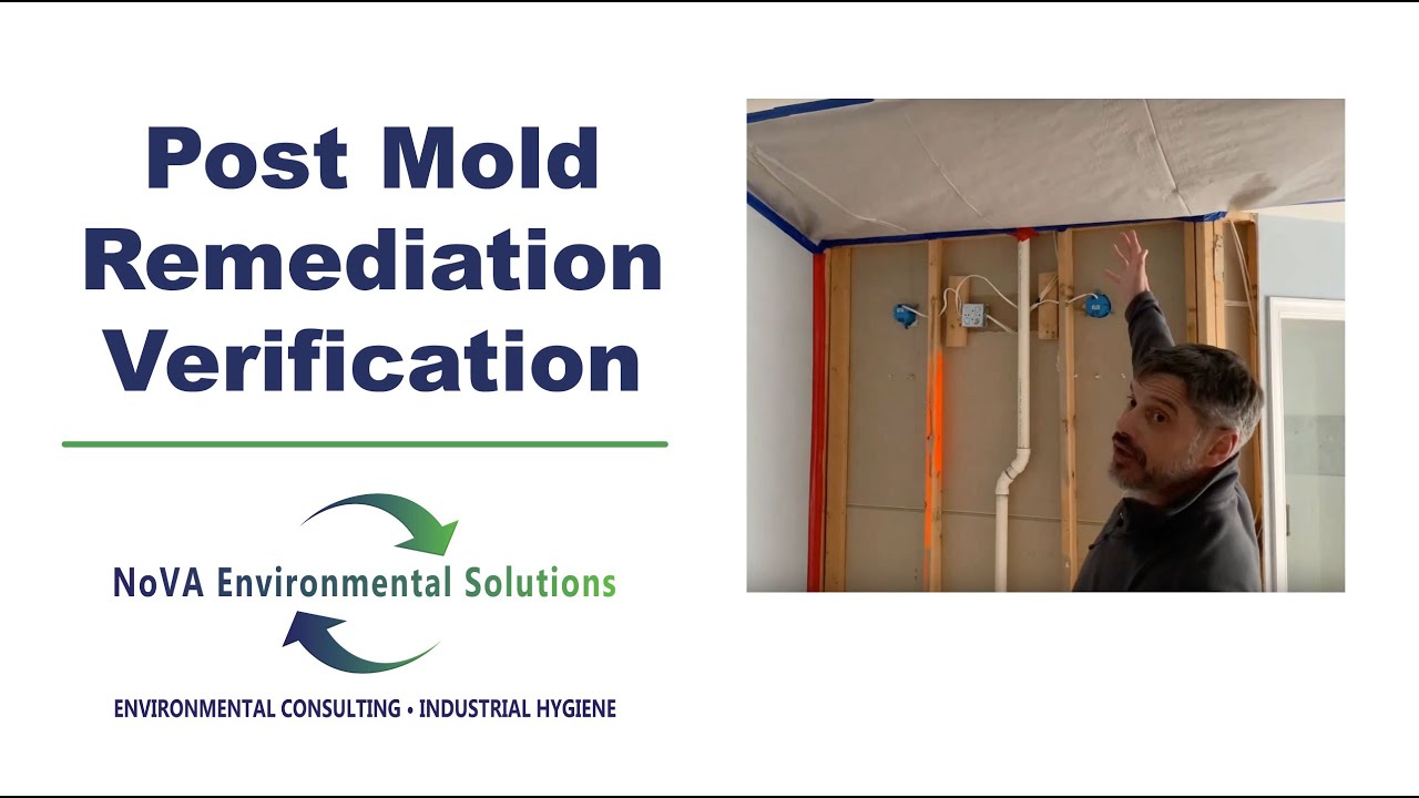 Mold Remediation Verification Inspection and Testing