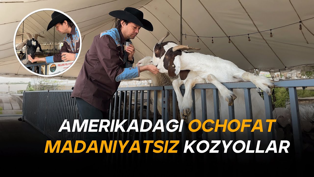 Texas Shtatidagi Echkilarni Boqamiz - Antiqa Antistress!!!
