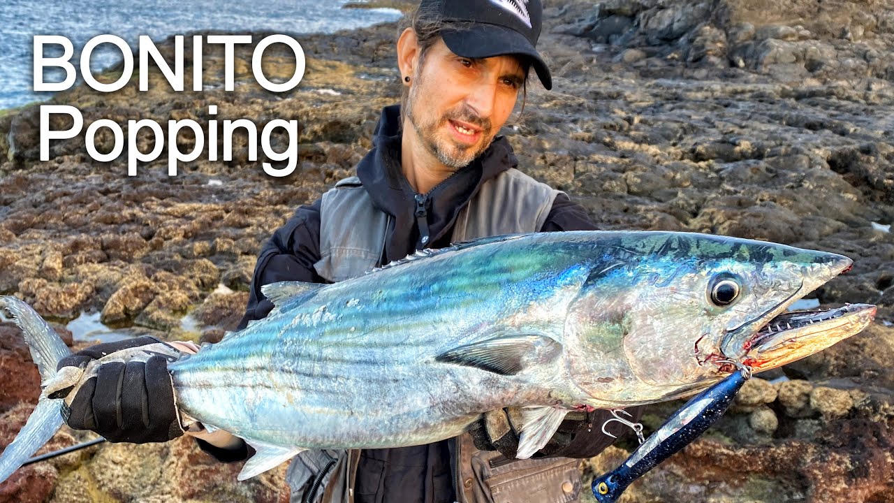 Big Bonito auf Eigenbau Popper