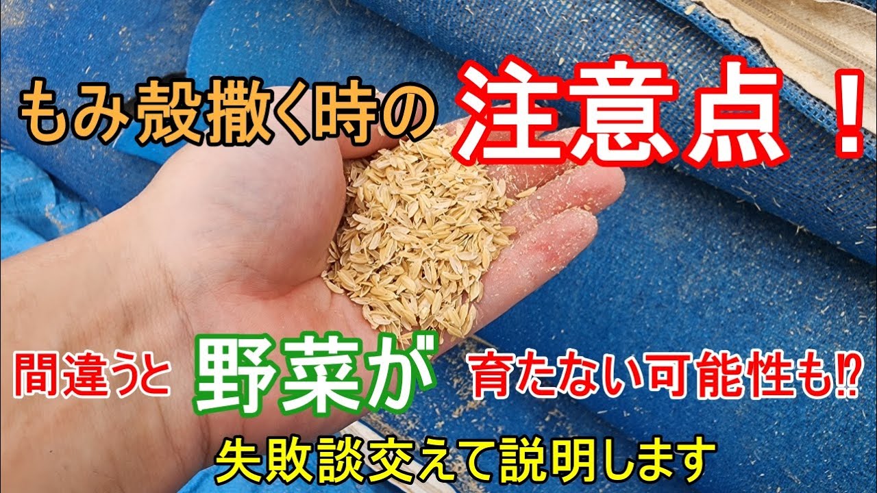 使い方間違うと失敗するかも！【もみ殻】優秀な資材も使い方次第！
