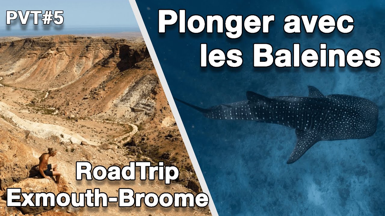 Australie Episode 5 PVT: Road Trip (pt1) Exmouth - Karijini | Plonger avec des baleines |
