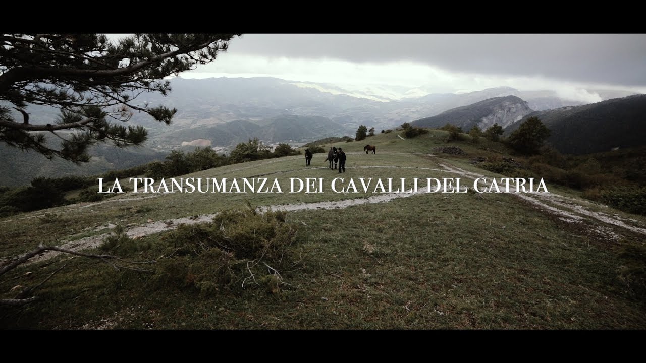 La transumanza dei cavalli del Catria.