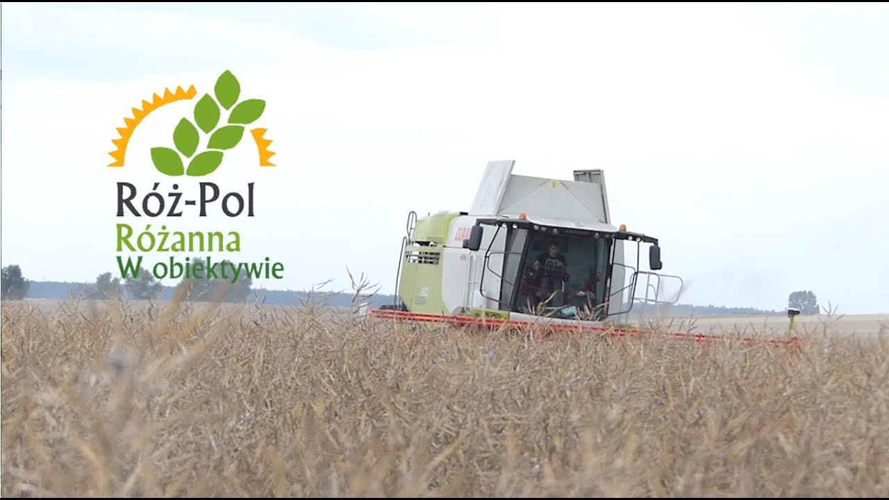 Czarne żniwa z nowym nabytkiem ☆ Claas Lexion 660 & Claas Lexion 560☆