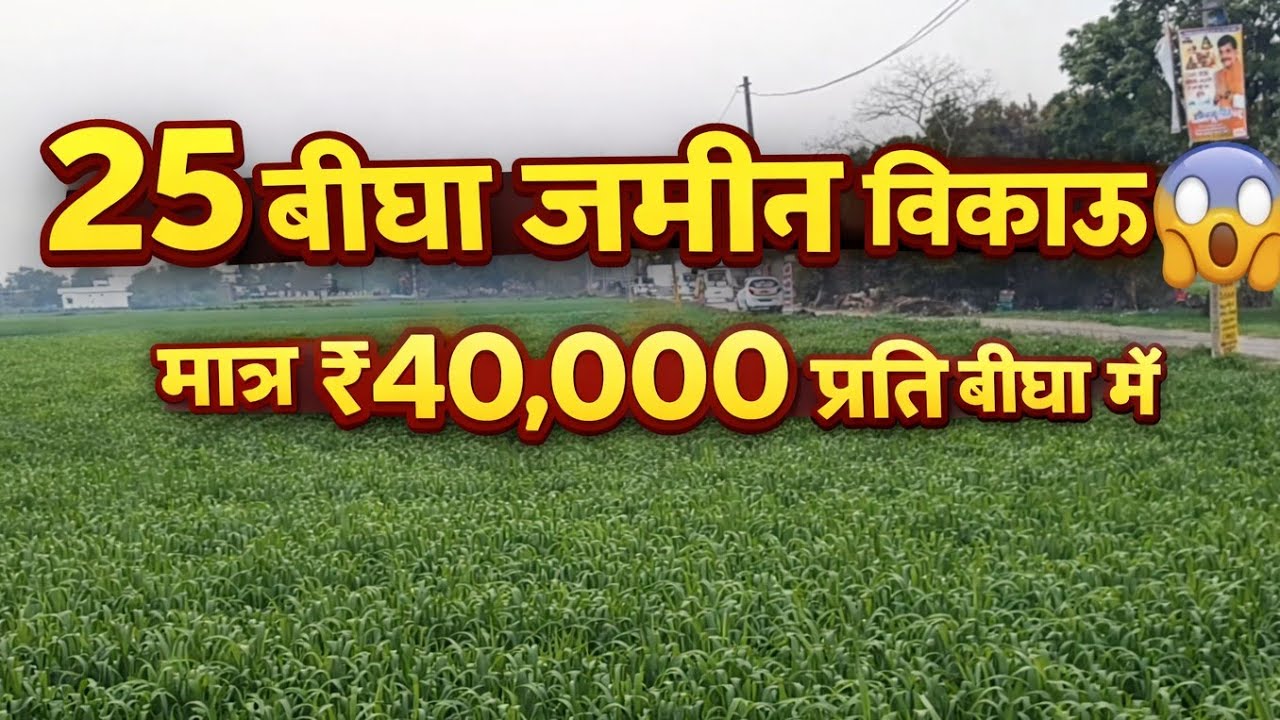 Cheap Farm Land in India! 25 Bigha @ ₹40,000 per Bigha | Best Investment Opportunity 2026