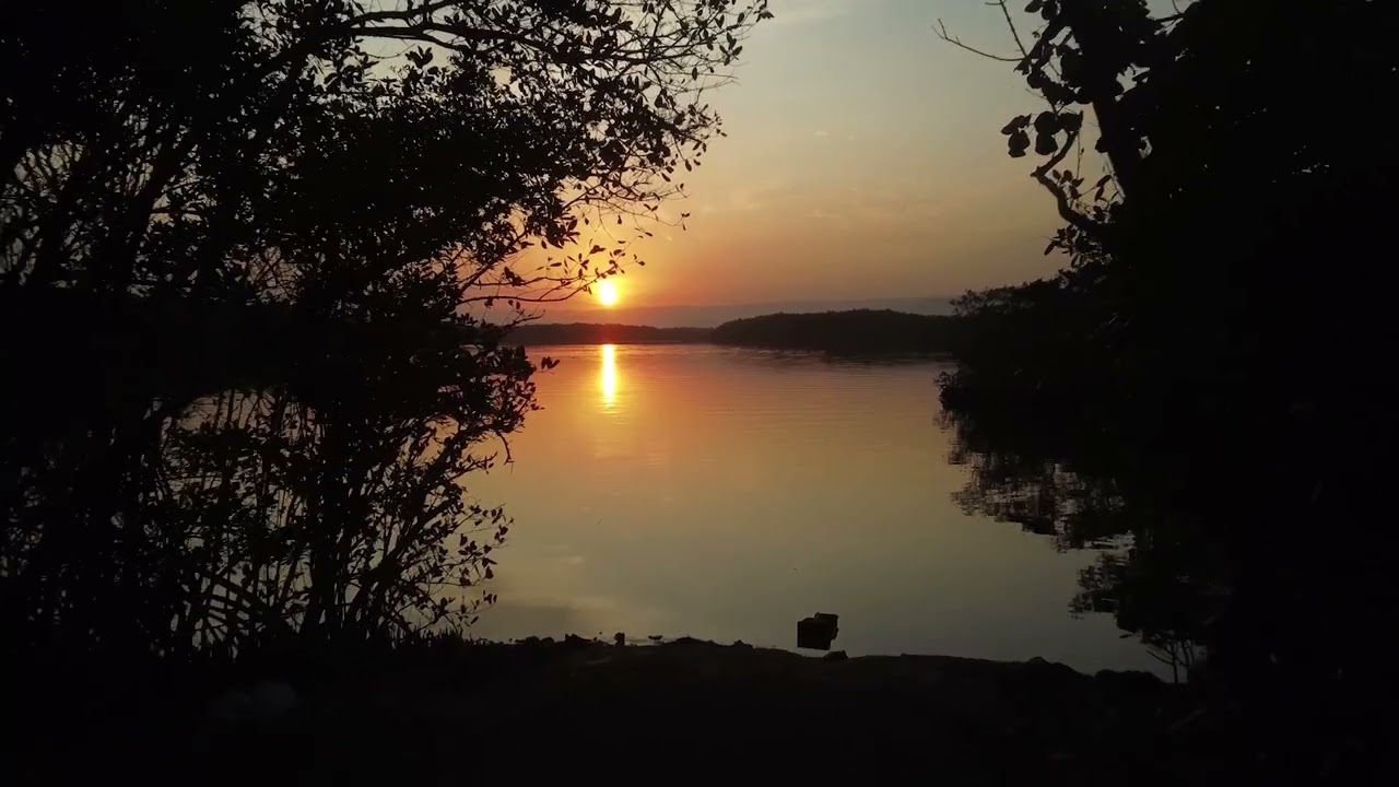 You Can Close Your Eyes – String Quartet (James Taylor)