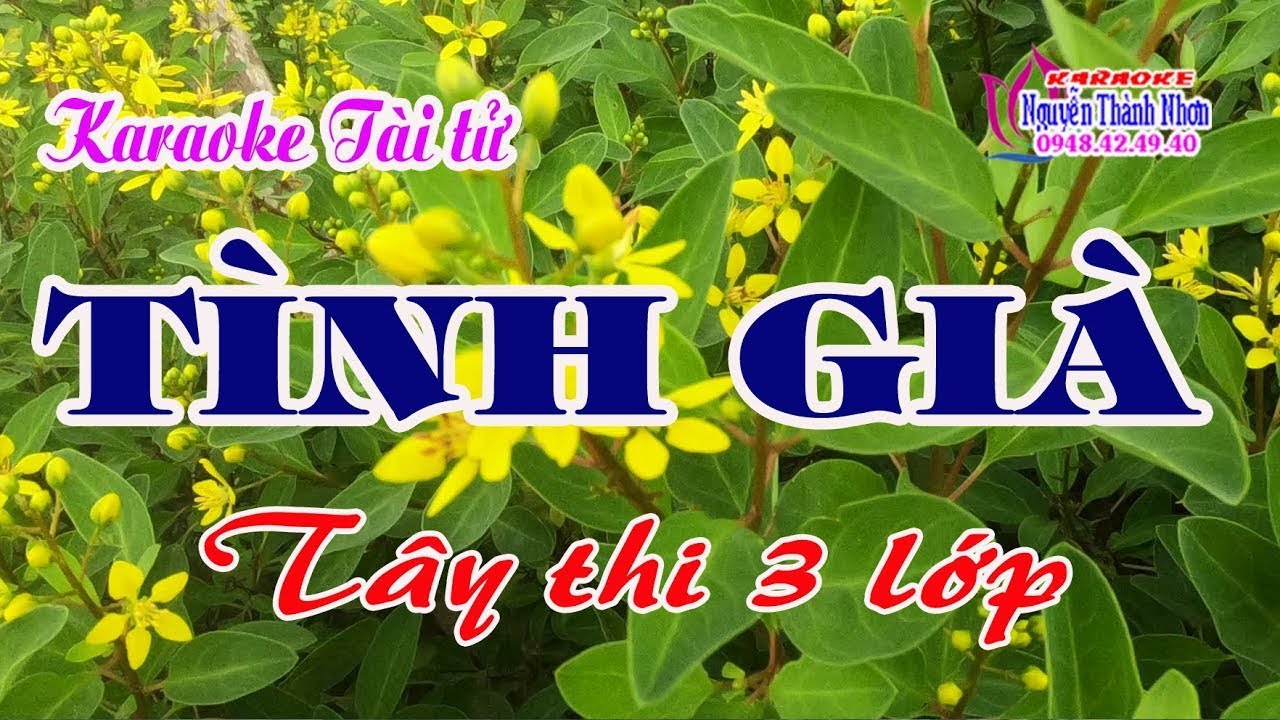 Karaoke Tây thi 3 lớp TÌNH GIÀ - T/g Lý Bông Dừa