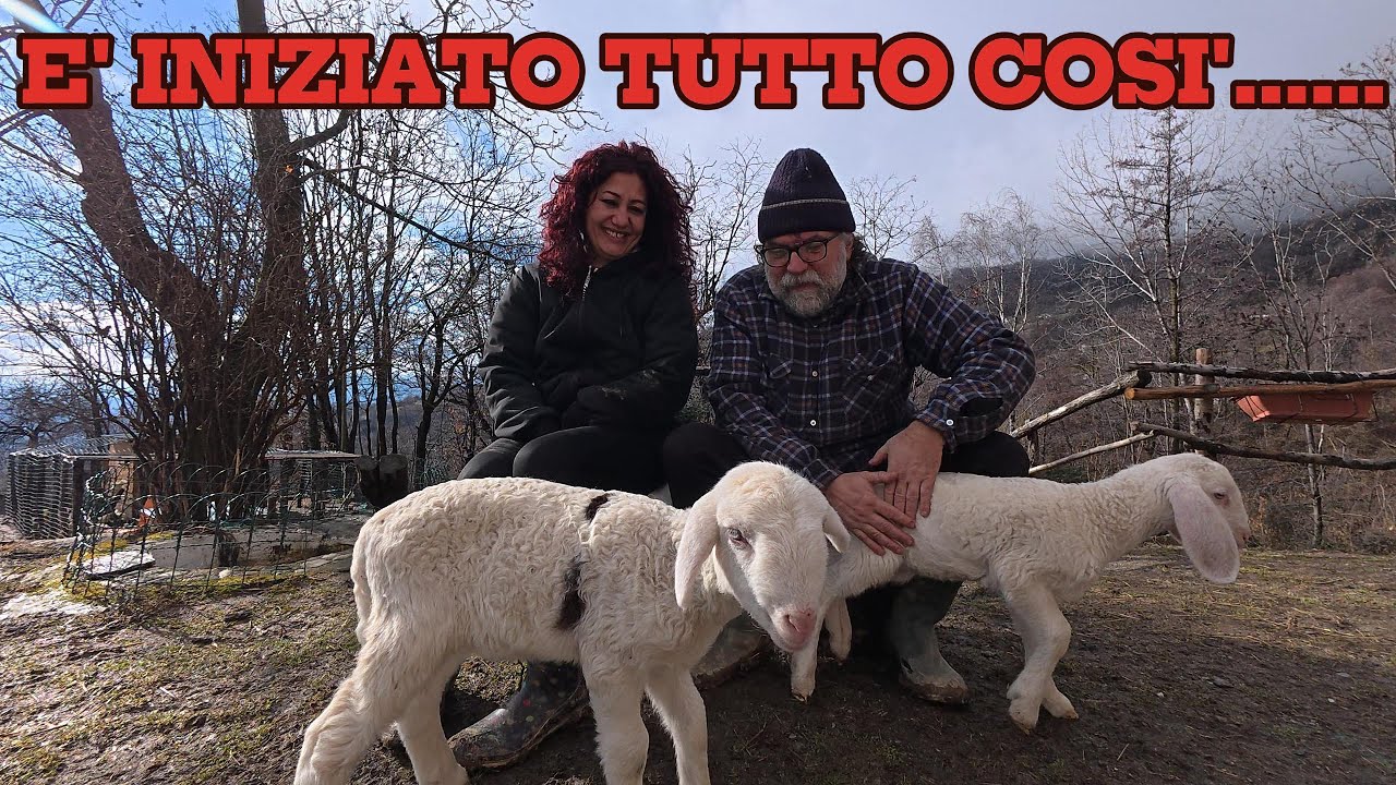 Tutto è iniziato cosi' #fattoria #lanostrastoria #montagna #vitainmontagna #animali #natura #farm