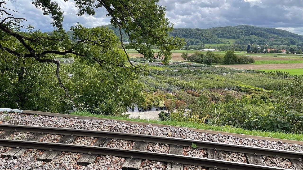 Folge 1: Grossbahnfest 2022 - Schinznach (CH)