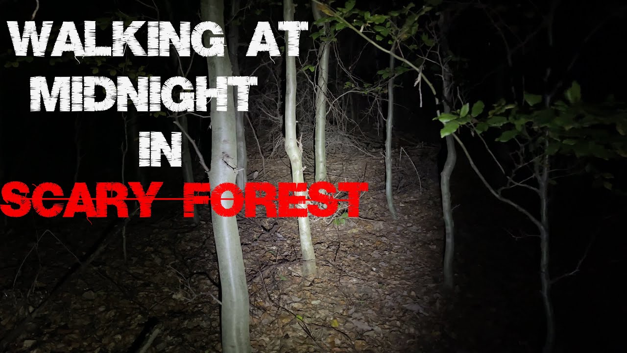 Walking At Midnight - Scary Carpathians Forest | Night Walking