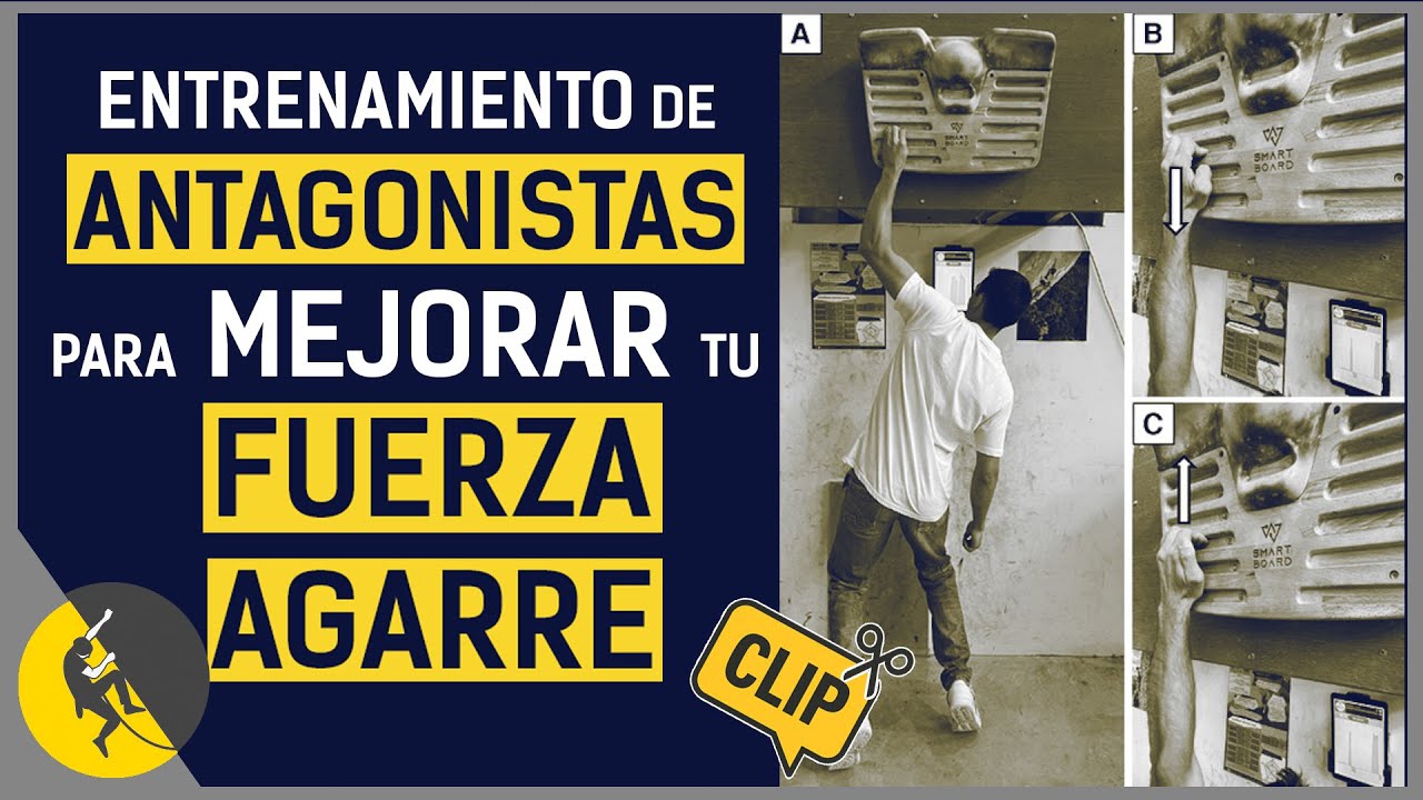 ¿Cómo Entrenar Antagonistas Para Tener Más Fuerza de Agarre?