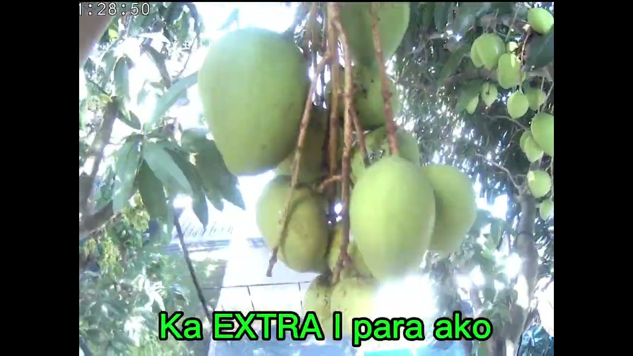 Power supply Napo,Ng capiz ball part 4