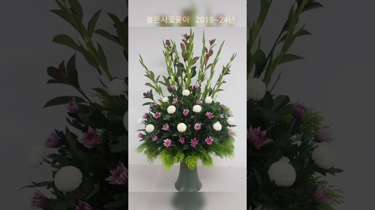 지루하지만 가볍게  꽃 사진 구경하세요 #자안성#Seoul #Kflower#Jaansung