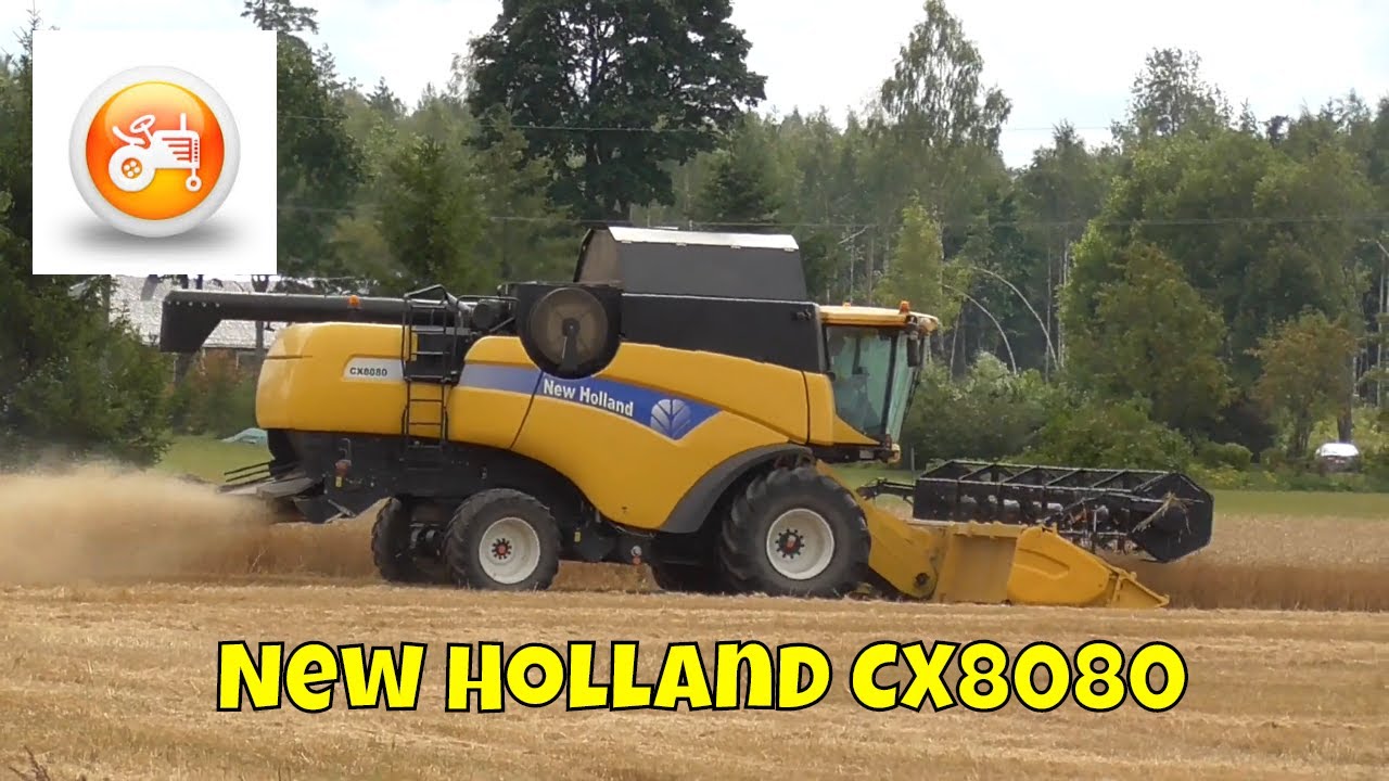 Harvest 2019 | New Holland CX8080 combine harvesting barley