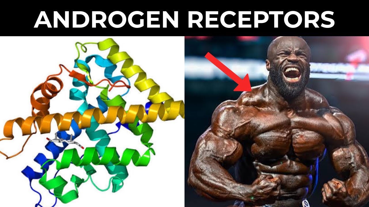 Testosterone Is Overrated Unless You Prioritize This One Thing