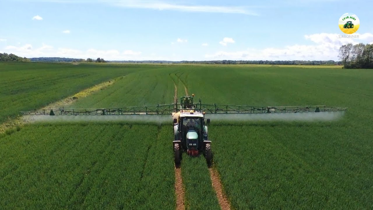 Fongicide sur blé 2020