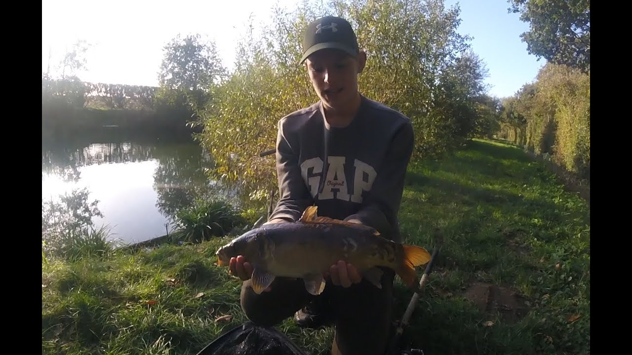 **(£1.50 rod.)** Fishing a Holly farm for carp