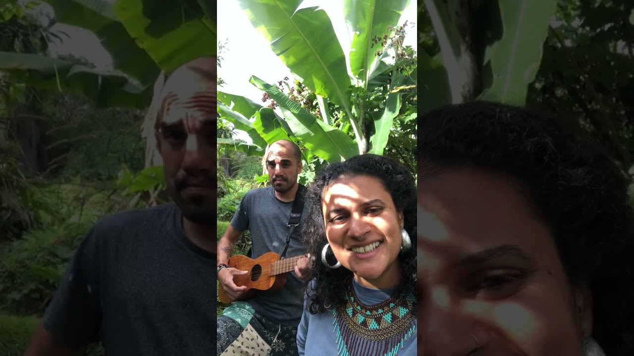 Filao - Zetwal Katrer & Bihel Ivoula (Flora Pasquet & Juan Pablo Aispuro)