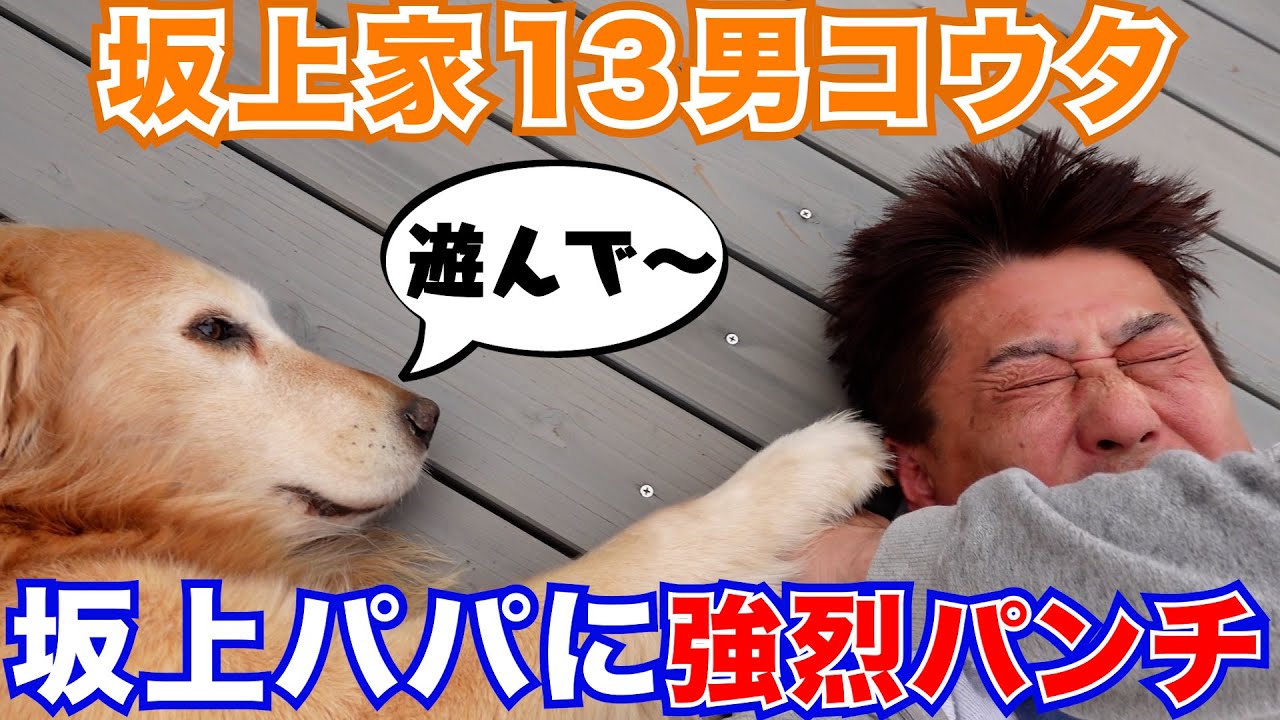 【坂上家２３兄弟】甘えん坊・コウタがパパに強烈パンチ！