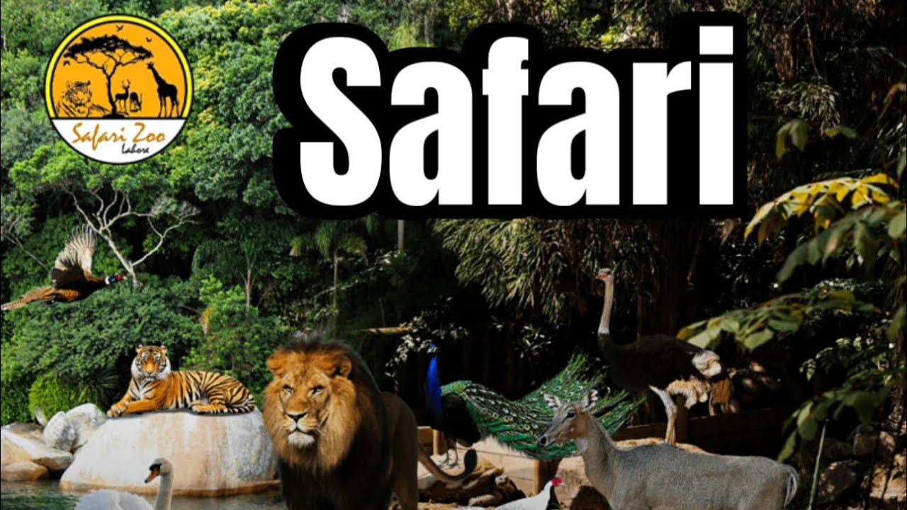 Safari Zoo Lahore Full Tour + Famous Goga Naqibia Murgh Chanay 😍