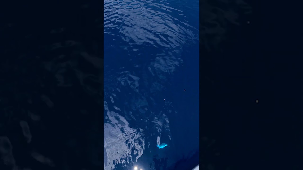 GIANT Red Snapper Caught 100 Miles Offshore in Crystal Clear Water!