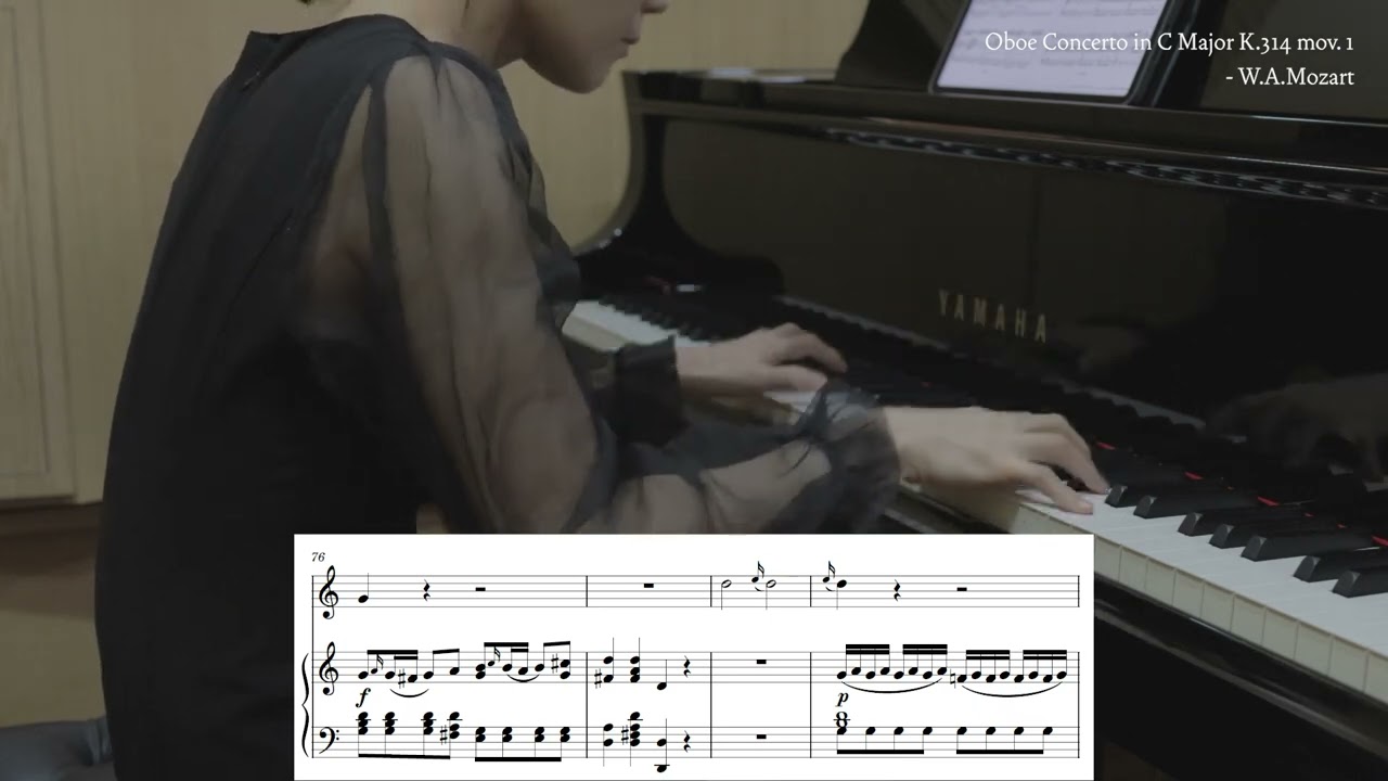 Mozart Oboe Concerto in C Major K.314 , 1st / piano accompaniment / 기악반주 / 피아노반주 / 오보에 /  karaoke