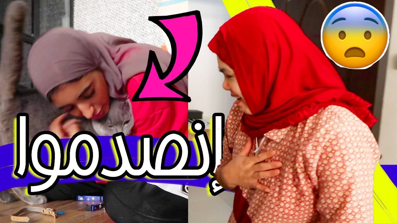 رده فعل قطتي و مساعدتي بعد ما رجعت من السفر 🐱😱😂