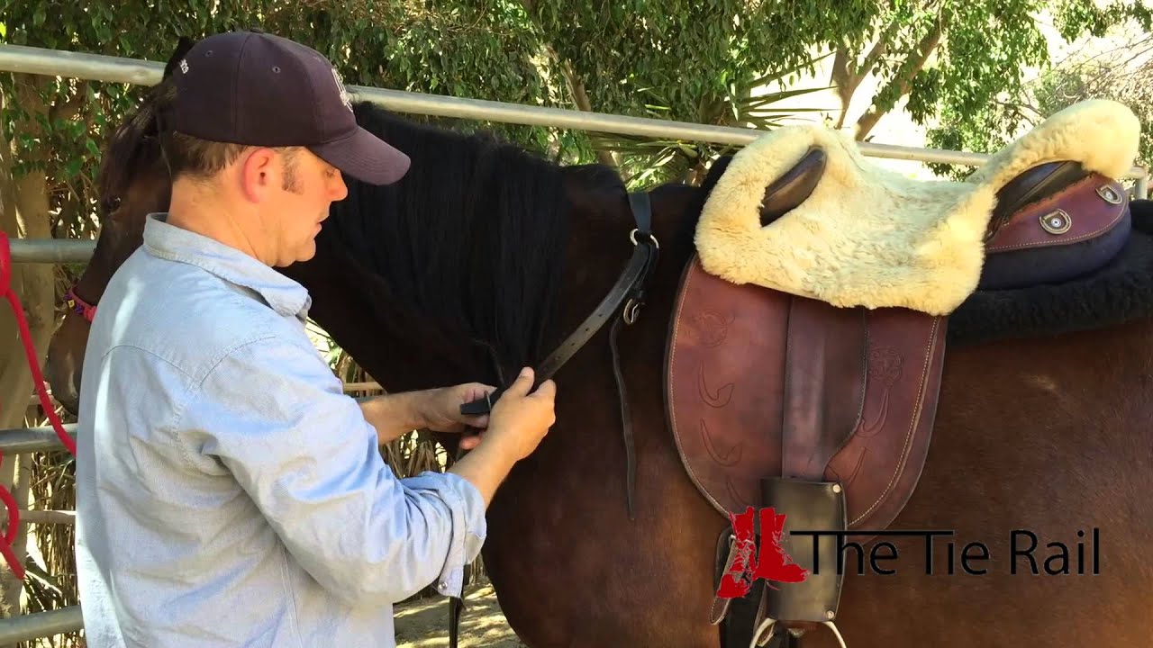 Saddling & Unsaddling: Australian Saddle
