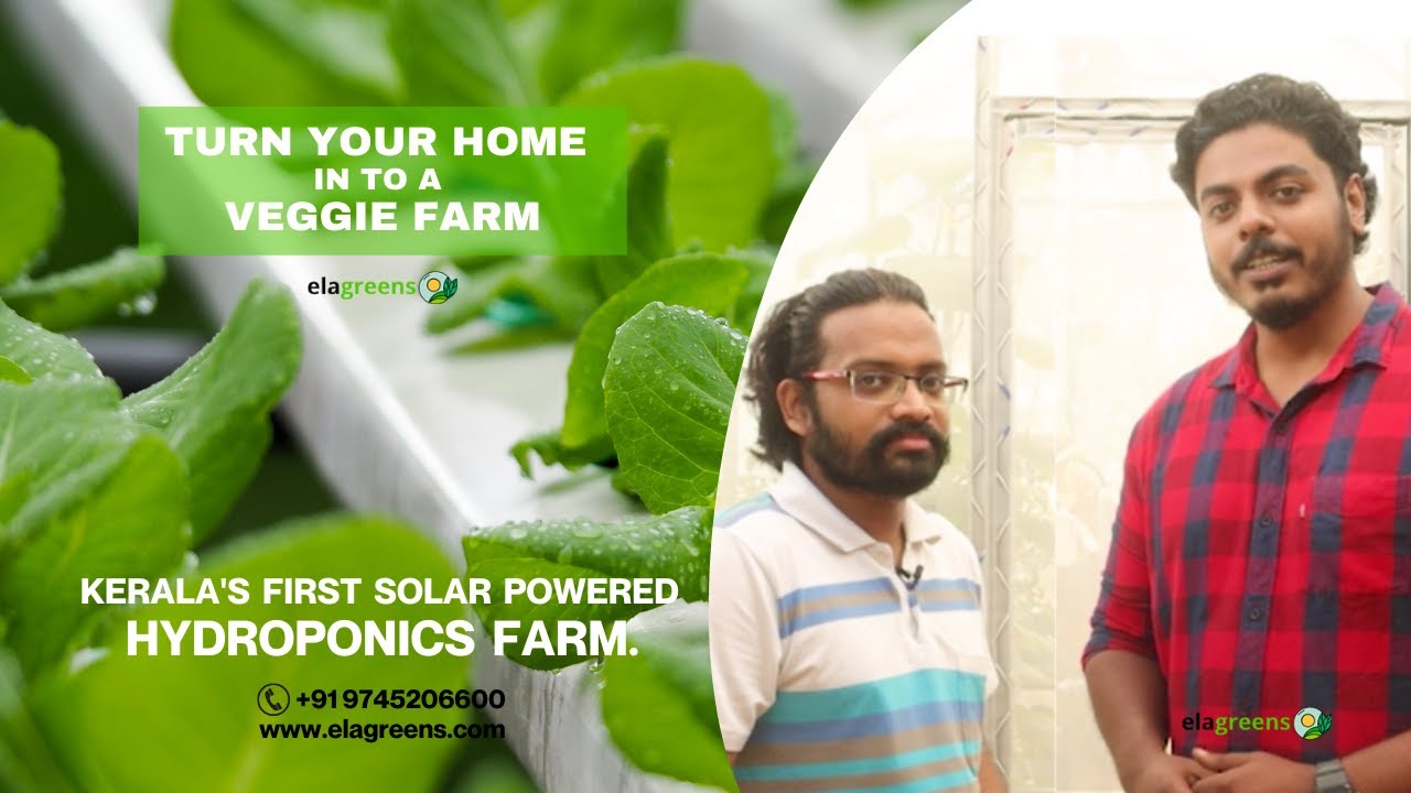 KERALA'S FIRST SOLAR-POWERED HYDROPONICS FARM. Kerala's First Solar Powered #hydroponics #farm