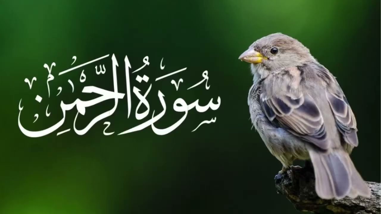 SURAH RAHMAN (Full surah Rahman) Beautiful  Quran @Zikreilahi-v3z 