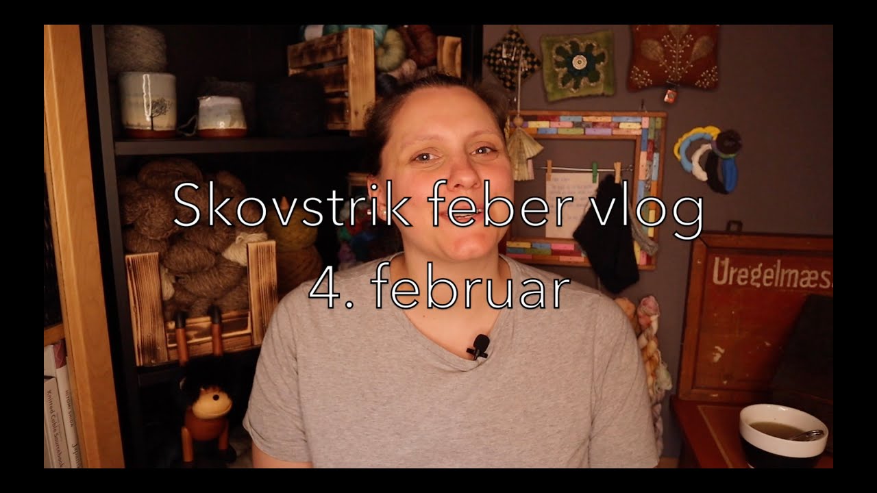Skovstriks bogklub (4. feb.)  