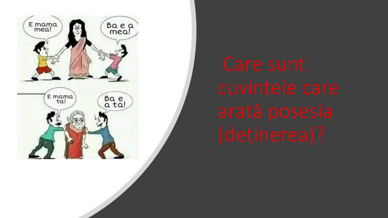 Pronumele posesiv  -  lecție pentru clasa a șaptea