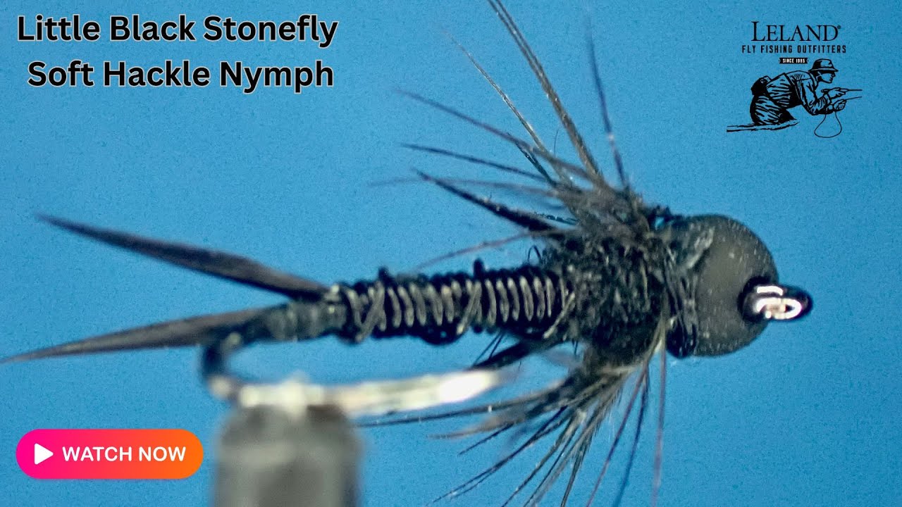 Tie the Perfect Little Black Stonefly Soft Hackle Nymph