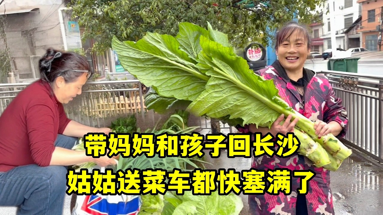 帶媽媽和孩子們回長沙，姑姑送菜車都快塞滿了，這份心意太重了！