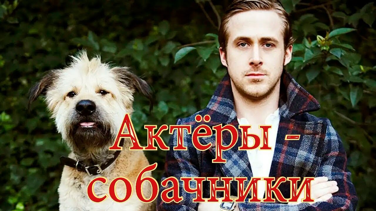 ТОП 13 актёров, обожающих собак