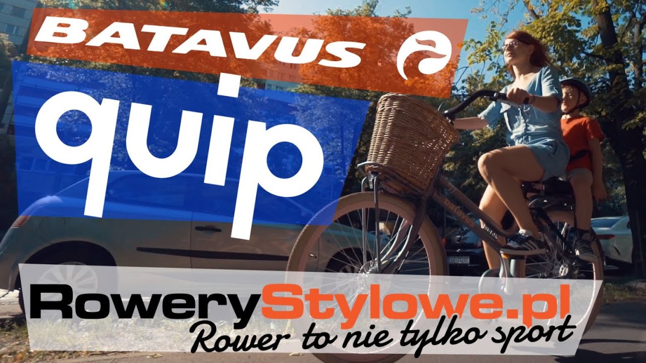 Rower holenderski: Batavus Quip kolor Kameleon -  komfortowy i designerski !
