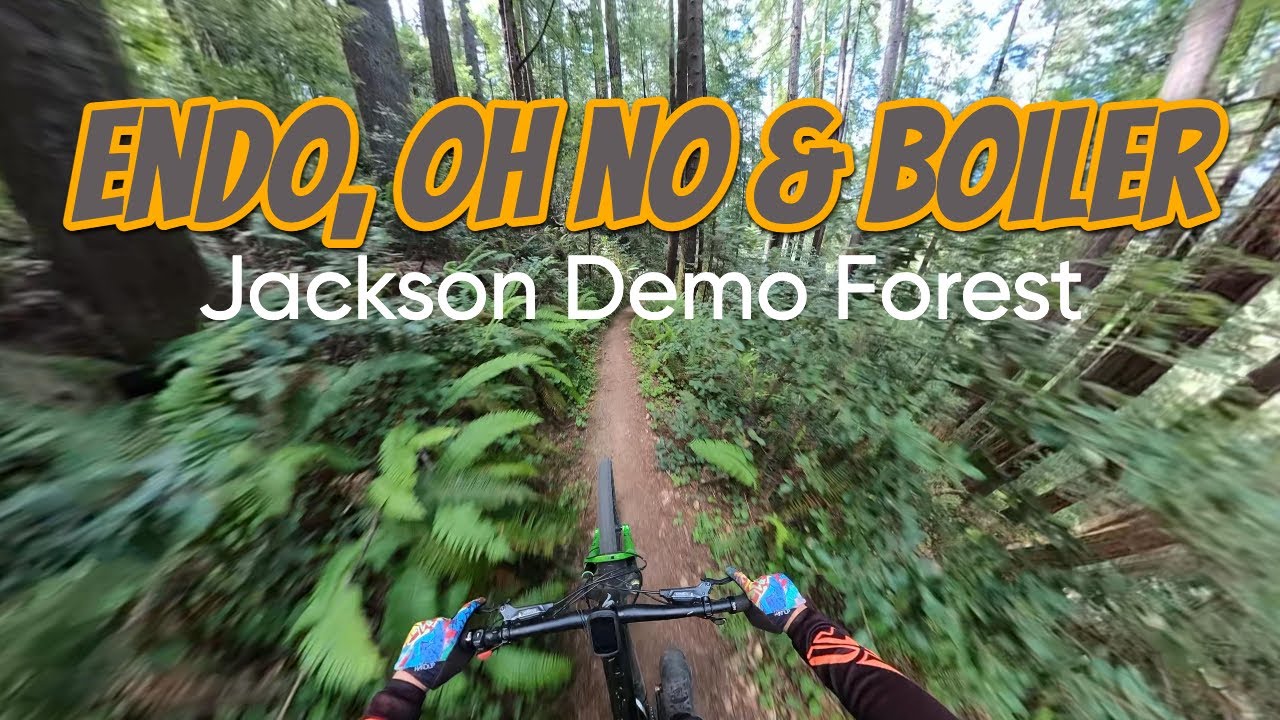 Jackson Demonstration Forest - Endo, Oh No & Boiler