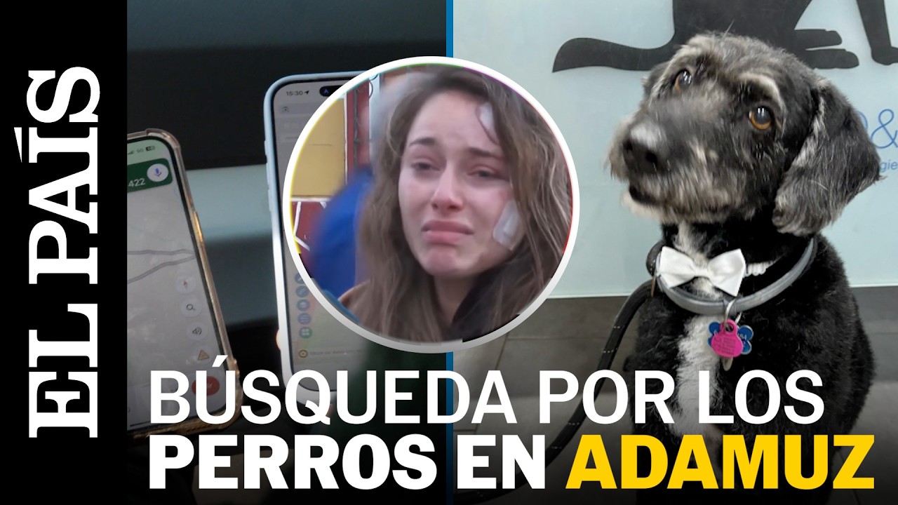 ACCIDENTE ADAMUZ | La búsqueda de los PERROS PERDIDOS en el accidente de TRENES | EL PAÍS