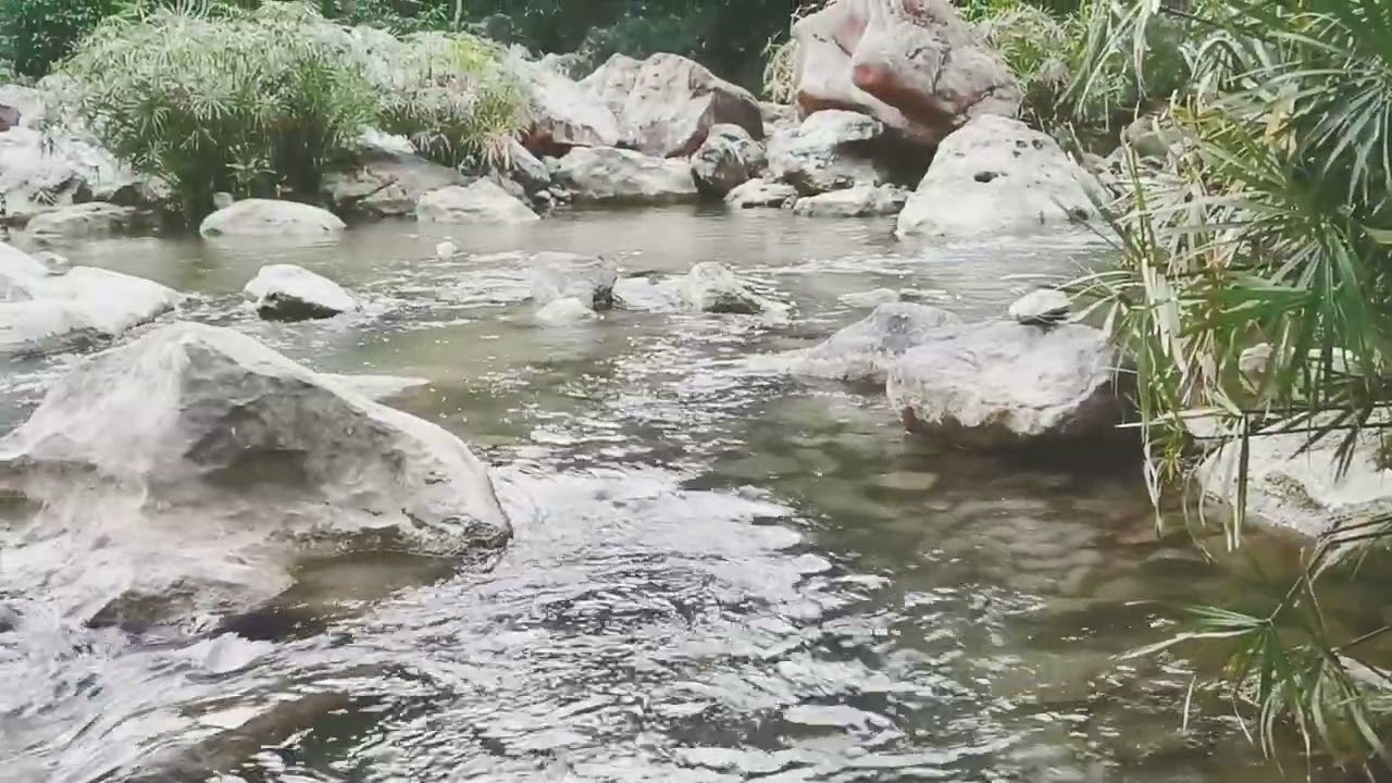 Unveiling Nature's Tapestry at Tagbao River Camp